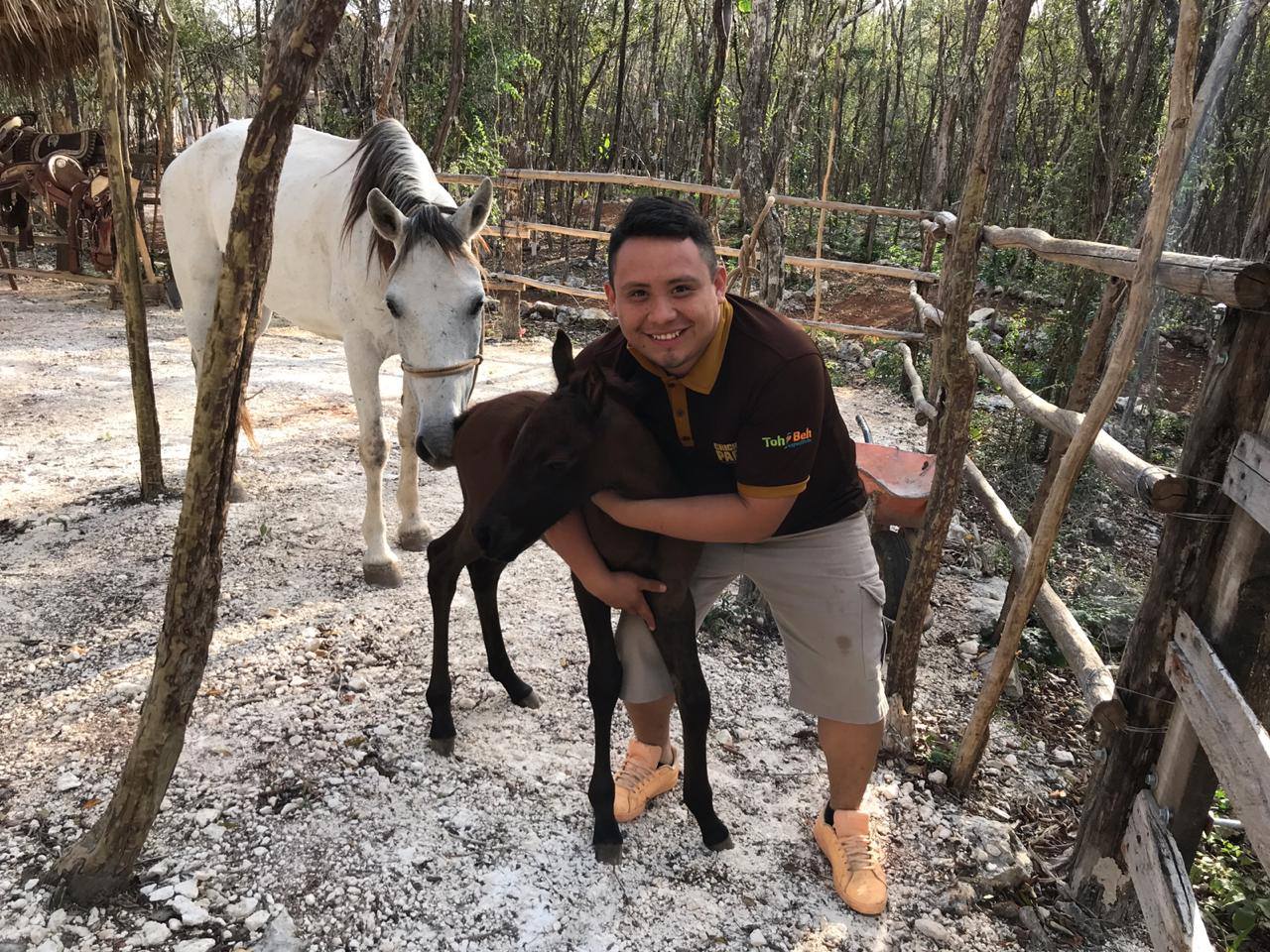 Chichen itza horseback ride baby